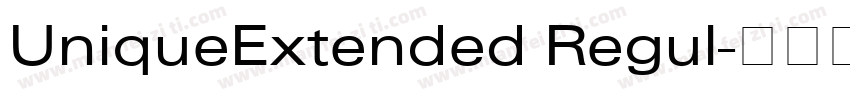 UniqueExtended Regul字体转换